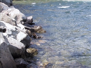 IMG_7337.JPG