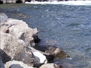 IMG_7342.JPG