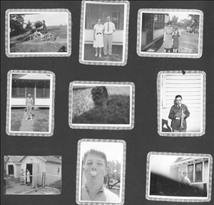 album06.jpg