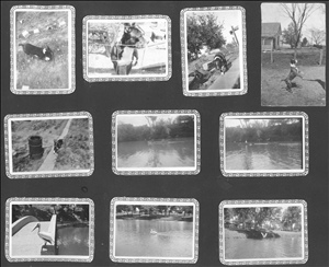 album07.jpg