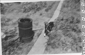 album07e.jpg