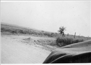 album08i.jpg