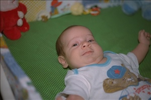 IMG0009.jpg