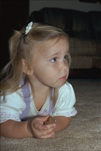 IMG0042.jpg