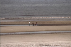 IMG0056.jpg