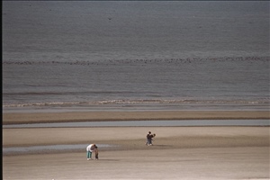 IMG0057.jpg