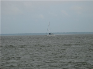 IMG_0753.JPG