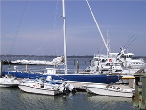 172-7223_IMG.JPG