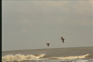 IMG0051.jpg