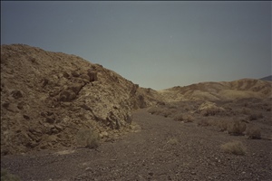 IMG0084.jpg