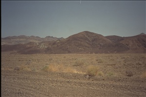 IMG0033.jpg