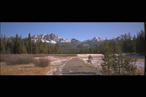 IMG0005.jpg
