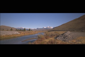 IMG0006.jpg
