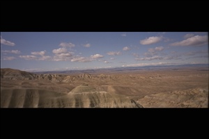 IMG0007.jpg
