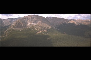 IMG0008.jpg