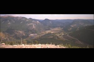 IMG0009.jpg