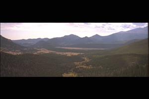 IMG0010.jpg