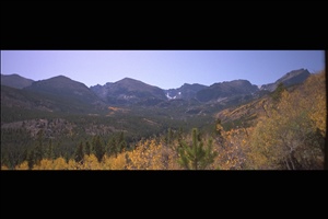 IMG0012.jpg