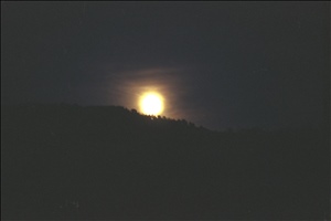 IMG0015.jpg