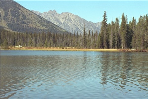 IMG0019.jpg