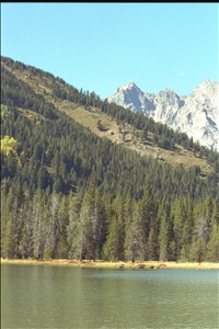 IMG0020.jpg