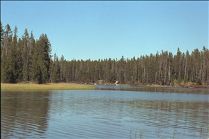 IMG0021.jpg