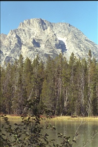 IMG0022.jpg
