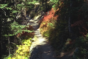 IMG0025.jpg