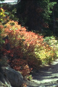 IMG0028.jpg