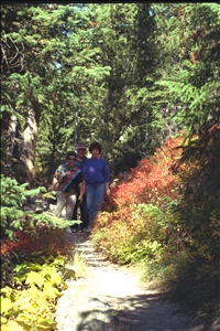 IMG0029.jpg