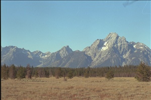 IMG0030.jpg