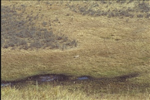IMG0032.jpg