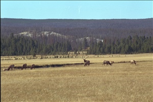 IMG0042.jpg