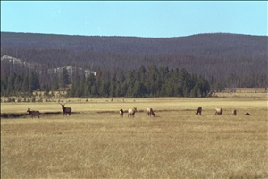 IMG0043.jpg