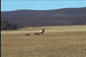 IMG0044.jpg