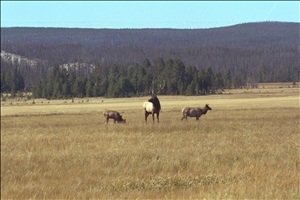 IMG0045.jpg