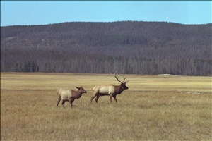 IMG0046.jpg