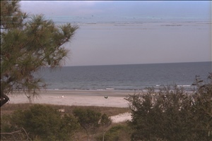 IMG0047.jpg