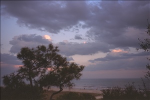 IMG0048.jpg