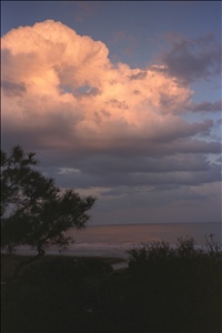 IMG0049.jpg