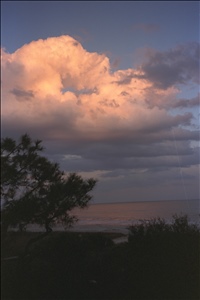 IMG0050.jpg