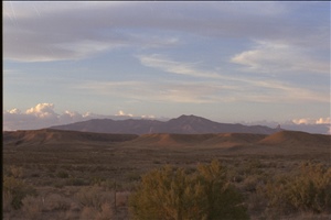 IMG0004.jpg
