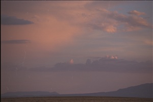 IMG0007.jpg