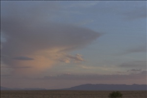 IMG0008.jpg