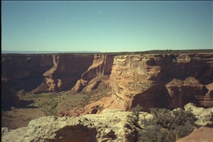 IMG0009.jpg