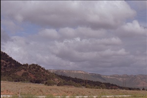 IMG0013.jpg