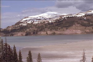 IMG0015.jpg