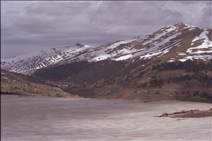 IMG0016.jpg