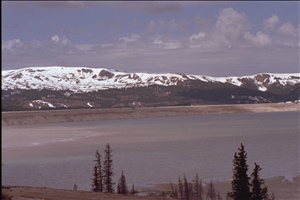 IMG0017.jpg