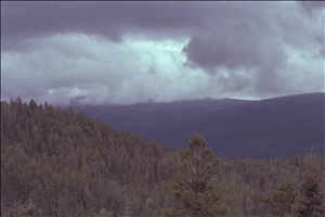 IMG0018.jpg